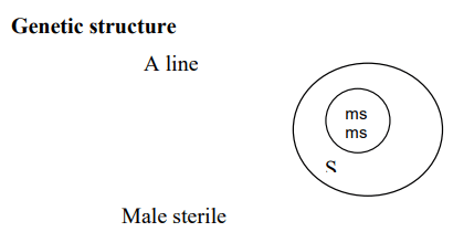 Incompatibility and Male Sterility and their Utilization in Crop Improvement - 2 | Agriculture Optional for UPSC