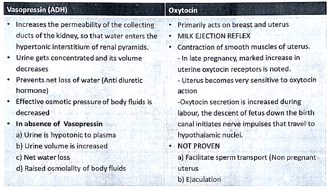 Posterior pituitary gland | Medical Science Optional Notes for UPSC