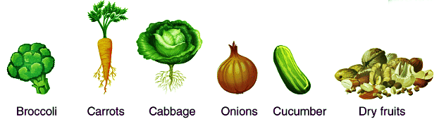 Protiens and Amino Acid | Zoology Optional Notes for UPSC