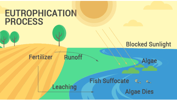 Influence of Man on Ecology & Environment | Geography Optional for UPSC