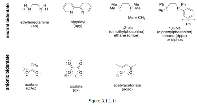 Chelating Ligands and the Chelate Effect - Chemistry Optional Notes