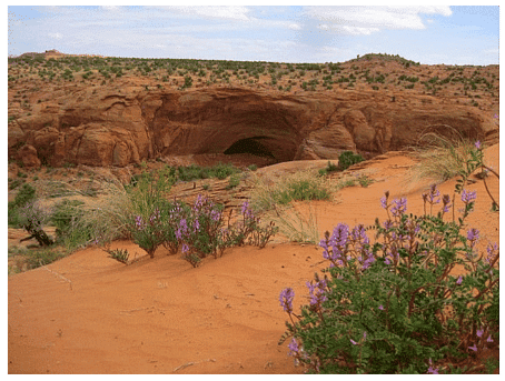Landforms | Geology Optional for UPSC