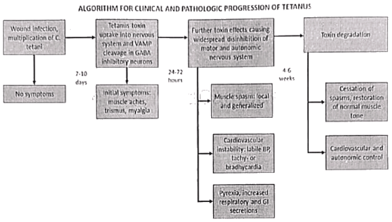 Differential diagnosis