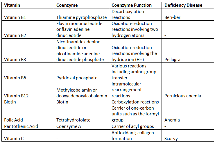 Enzymes and Coenzyme | Botany Optional for UPSC