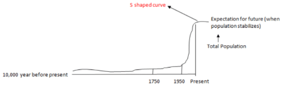 S Curve