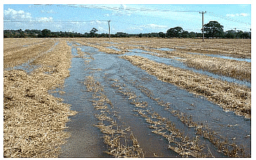 Methods of Weed Control | Agriculture Optional for UPSC