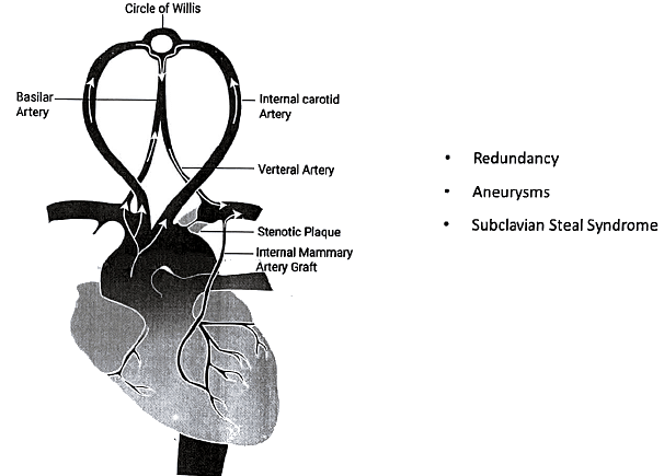 Descending Pathways: Neuroanatomy | Medical Science Optional Notes for UPSC