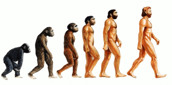 Synthetic Theory of Evolution (Post-Darwinian) | Anthropology Optional for UPSC