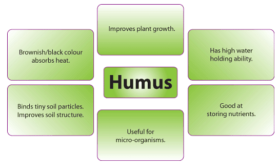 Properties of Soil: Physical, Chemical & Biological - 2 | Agriculture Optional for UPSC