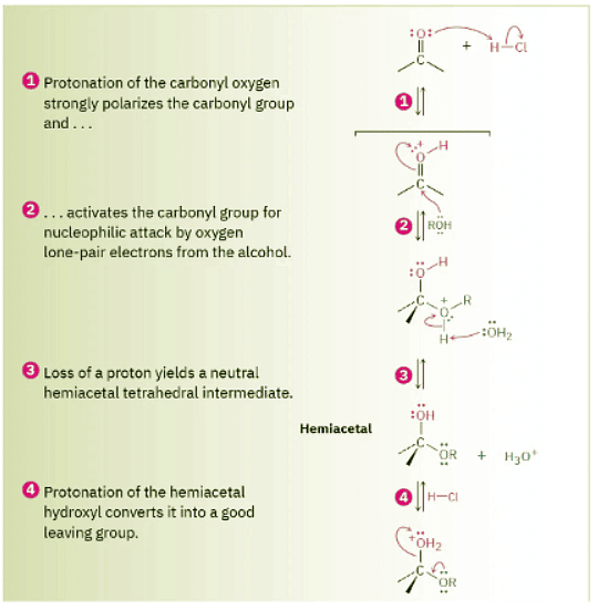 Nucleophilic Addition of Alcohols- Acetal Formation | Chemistry Optional Notes for UPSC
