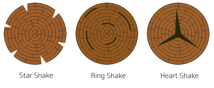 Defects in Timber - Defect Types & Causes | Civil Engineering Optional for UPSC