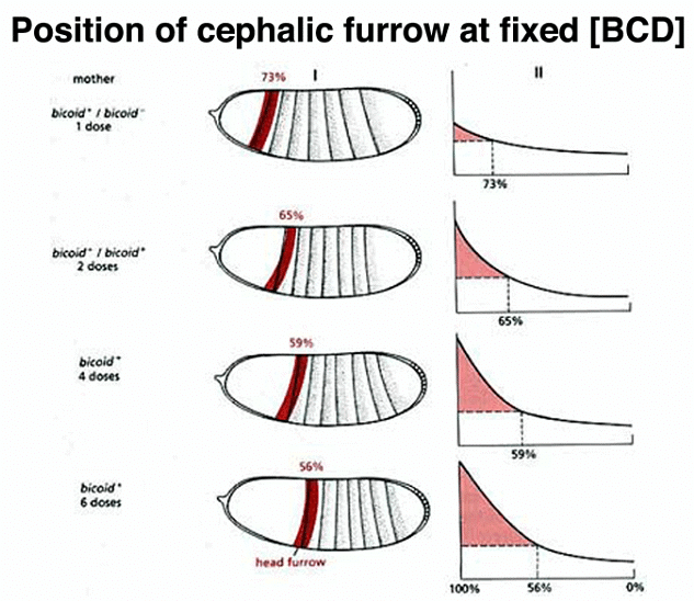 Development of Genetics | Botany Optional for UPSC