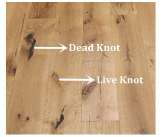 Defects in Timber - Defect Types & Causes | Civil Engineering Optional for UPSC
