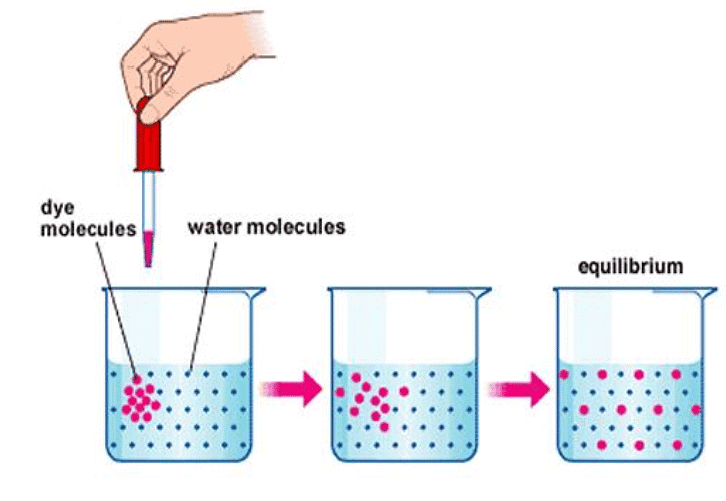 Water Transport and Mineral Nutrition | Botany Optional for UPSC