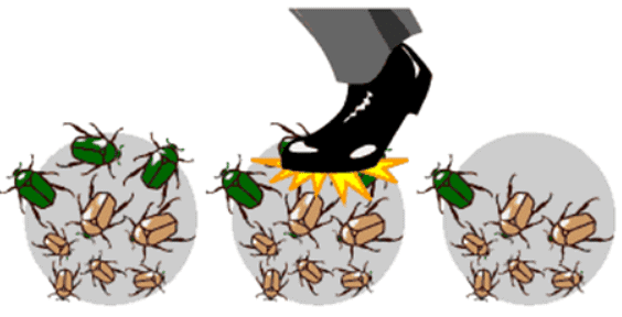 Synthetic Theory of Evolution (Post-Darwinian) | Anthropology Optional for UPSC