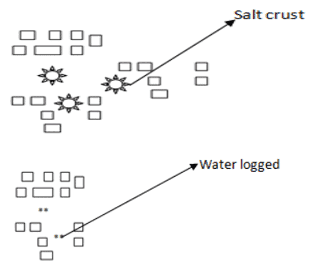 Types, Patterns and Morphology of Rural Settlements | Geography Optional for UPSC