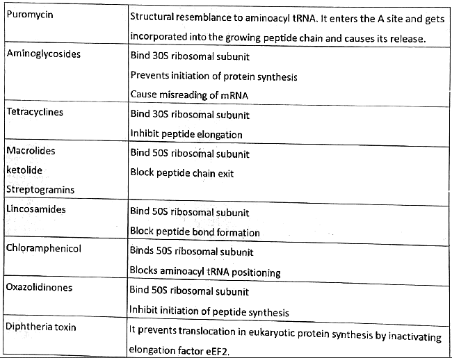 Antimicrobial Agents - Mechanism of Action | Medical Science Optional Notes for UPSC