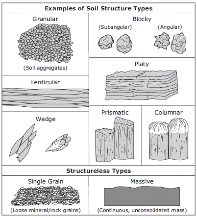Properties of Soil: Physical, Chemical & Biological - 1 | Agriculture Optional for UPSC
