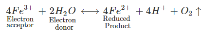 Modern Concept Of Photosynthesis - 1 | Agriculture Optional for UPSC