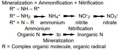 What Happens to Nitrogen in Soils? - 1 | Agriculture Optional for UPSC