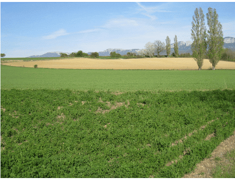 Agro Ecology and it`s Principle - 2 | NABARD Grade A & Grade B Preparation - Bank Exams