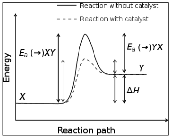 Concept of Bioenergetics | Zoology Optional Notes for UPSC