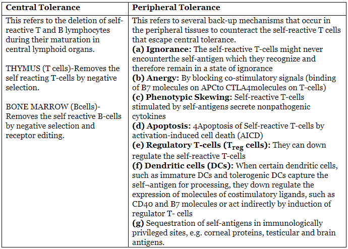 Immunological Tolerance, Autoimmunity | Medical Science Optional Notes for UPSC