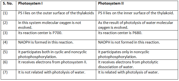 Modern Concept Of Photosynthesis - 2 | Agriculture Optional for UPSC