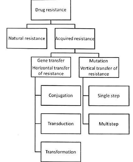 Antimicrobial Agents - Mechanism of Action | Medical Science Optional Notes for UPSC