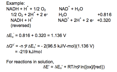 Electron transport chain, Oxidative phosphorylation & Photorespiration | Botany Optional for UPSC