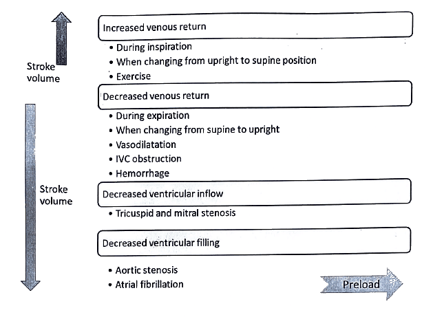 Cardiovascular System | Medical Science Optional Notes for UPSC