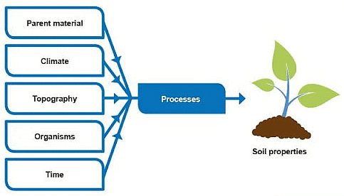 Weathering and Soil Formations | Geology Optional for UPSC