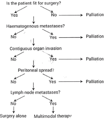 Carcinoma Esophagus | Medical Science Optional Notes for UPSC
