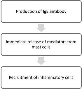 Hypersensitivity Reactions | Medical Science Optional Notes for UPSC