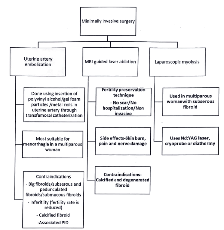 Uterine Fibroid | Medical Science Optional Notes for UPSC