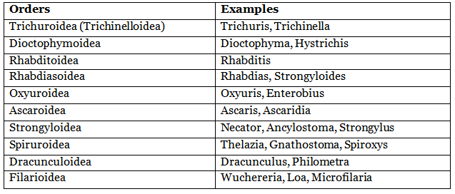 Nemathelminthes: Overview | Zoology Optional Notes for UPSC