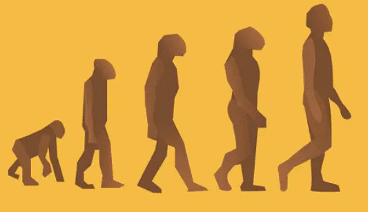 Theory of Evolution (Darwinian) | Anthropology Optional for UPSC
