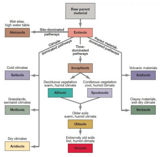 Classification and distribution of soils | Geography Optional for UPSC