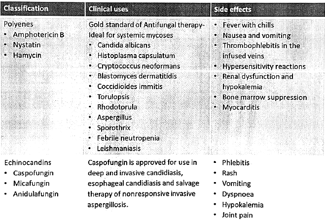Anti-Fungal Drugs | Medical Science Optional Notes for UPSC