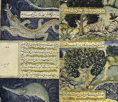  Illustrations in the Baburnama regarding the fauna of India.