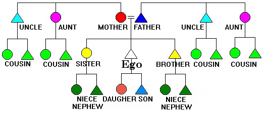 Lineage and Descent | Sociology Optional for UPSC (Notes)