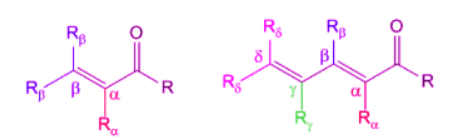 Woodward-Fieser Rules: Conjugated Carbonyl Compounds | Chemistry Optional Notes for UPSC