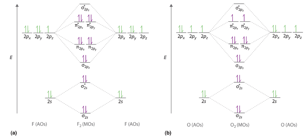 Second Row Diatomic Molecules