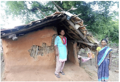 The Gond `Period Hut`