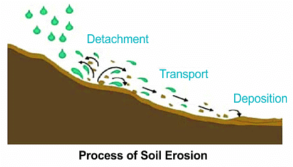 Soil Erosion and its Management - 1 | NABARD Grade A & Grade B Preparation - Bank Exams