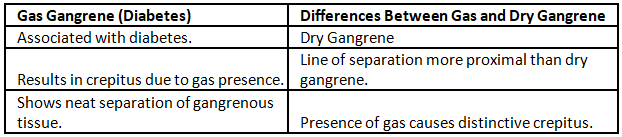Peripheral Arterial Disorders | Medical Science Optional Notes for UPSC