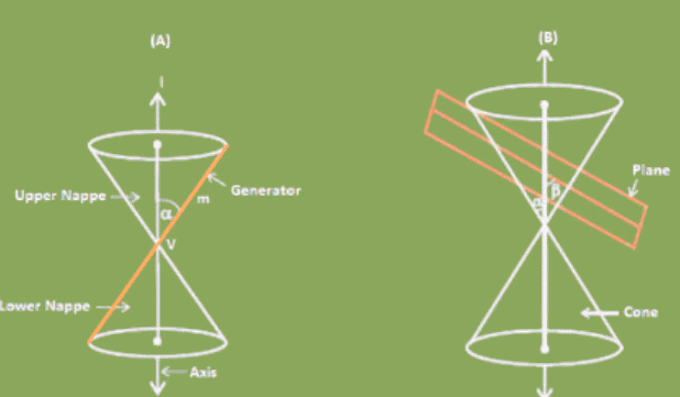 Conic Section | Mathematics for Grade 12