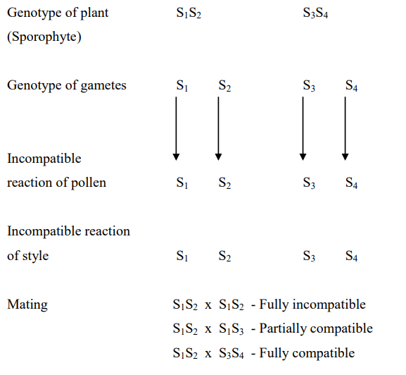 Incompatibility and Male Sterility and their Utilization in Crop Improvement - 1 | Agriculture Optional for UPSC