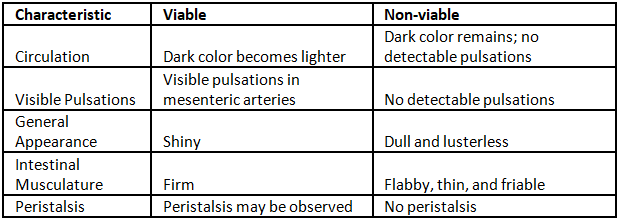 Intestinal Tuberculosis | Medical Science Optional Notes for UPSC