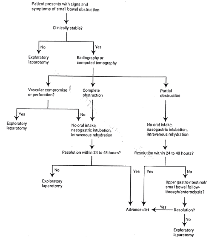 Intestinal Tuberculosis | Medical Science Optional Notes for UPSC